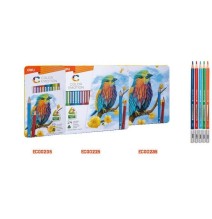 Deli Color Pencil 24Pc 1Pck