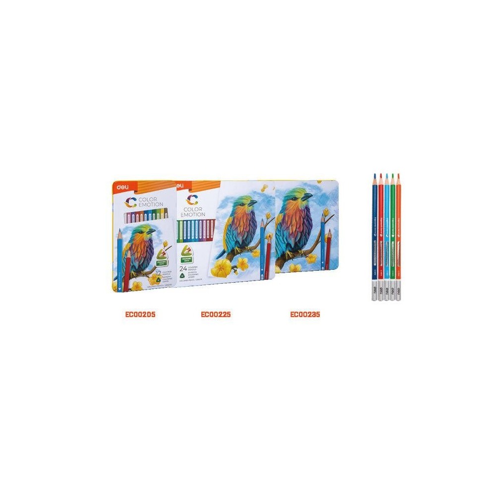 Deli Color Pencil 24Pc 1Pck