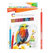 Deli Color Pencil 36Pc 1Pck